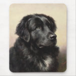 Terranova Mousepad