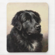 Terranova Mousepad