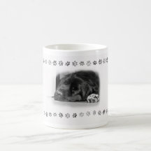 Terranova Tazas