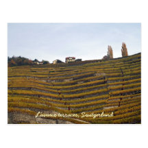 Terrazas de Lavaux Tarjetas Postales
