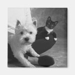 Terrier blanco y el gato comparten el amor imán para frigorifico