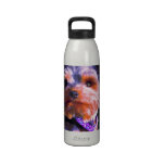 Terrier coloreado lindo botella de agua reutilizable
