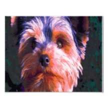 Terrier coloreado lindo fotografias