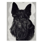 terrier de mojón postales