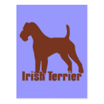 Terrier irlandés postal