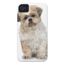 Terrier sedoso iPhone 4 Case-Mate protector