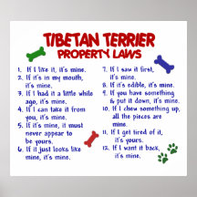 TERRIER TIBETANO PL2 POSTERS