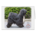 Terrier tibetano tarjeton