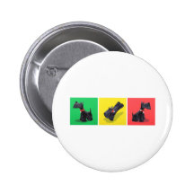 Terrieres escoceses pins