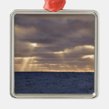 Territorio BRITÁNICO, isla del sur de Georgia, mar Adorno De Reyes