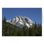 Tetons magnífico 1 tarjetas