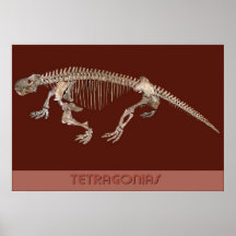 Tetragonias (sinápsidos) posters