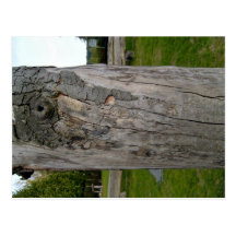Textura de la corteza de árbol postales