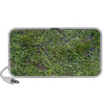 Textura de la hierba y de las pequeñas plantas PC altavoces