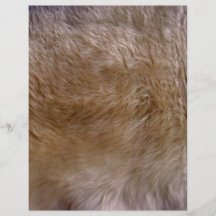 Textura de la zalea de Brown Flyer A Todo Color