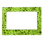 Textura de las burbujas de la verde lima marcos magneticos de fotos