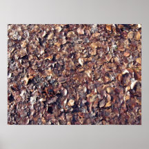 Textura de las hojas de Brown Posters