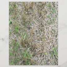Textura del fondo de la hierba seca tarjetones
