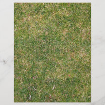 Textura fresca de la hierba verde tarjetón