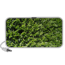 Textura fresca de las hojas del verde portátil altavoz