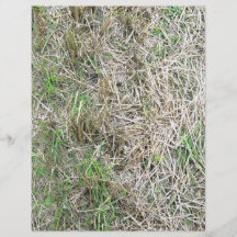 Textura inconsútil de la hierba seca tarjetones