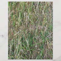 Textura larga de la hierba del corte tarjetones