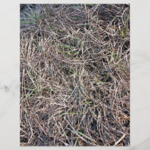 Textura larga del campo de hierba que brilla en lu flyer a todo color