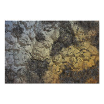 Textura marrón gris impresiones fotograficas
