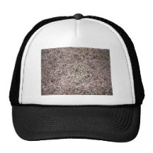Textura muerta de la hierba de Brown Gorras De Camionero