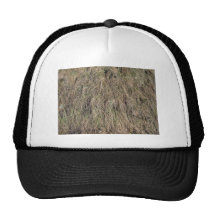 Textura muerta larga de la hierba gorro de camionero