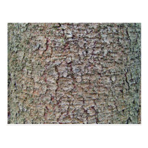 Textura vertical de la corteza de árbol postales