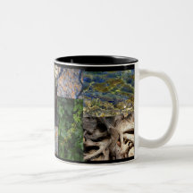 Texturas de la taza de la vida