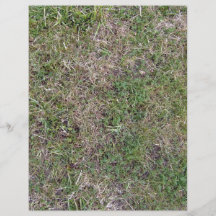 Texturas de tierra secas del fondo de la hierba ve tarjetones