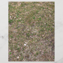 Texturas secas de la tierra de la hierba verde tarjetón