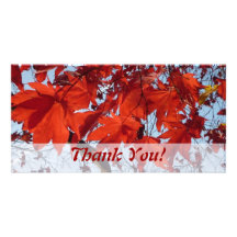 Thank You! - Postcard Bilderkarten