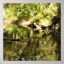 The Creek Poster