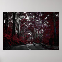 ~THE CRUISER~ SOLITARIO POSTER