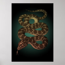 The Snake(G) プリント