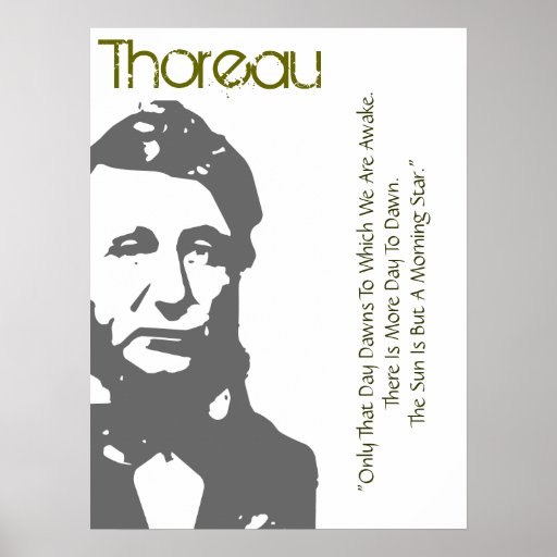 The Sun es un poster de Thoreau del lucero del alb