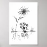theLIVING Poster