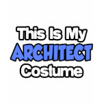 This Is My Architect Costume T-shirt