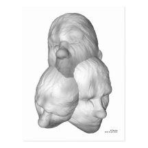 Three Faces Postkarten