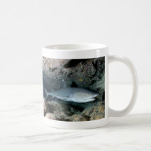 Tiburón de Silvertip Tazas De Café