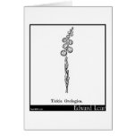 Tickia Orologica. Tarjetas