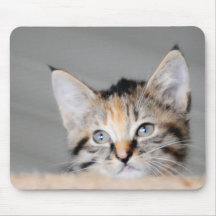 Tiddles el gatito - Mousemat Alfombrillas De Ratón