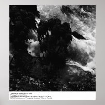 Tidepools y tocones, por Ansel Adams Impresiones