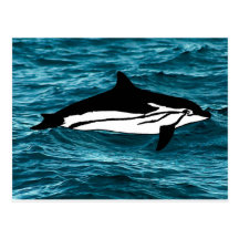 TIEMPO DE LA BALLENA POSTALES