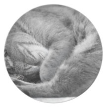Tiempo de la siesta platos de comidas