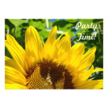 ¡Tiempo del fiesta! Celebraciones de los girasoles Comunicado Personal