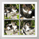 Tiempo libre de una impresión del collage del gato poster